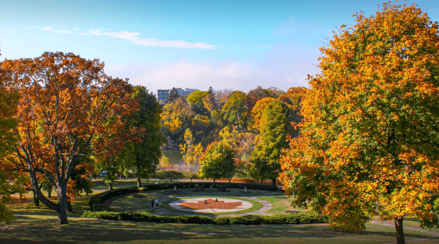 A scenic view of the trees in fall.